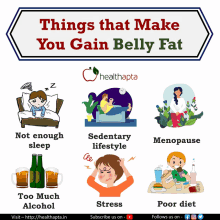 Things That Make You Gain Belly Fat GIF - Things That Make You Gain Belly Fat GIFs