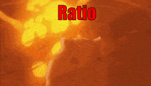 Ratio Hamster GIF - Ratio Hamster Explosion GIFs