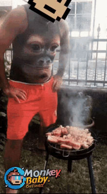 mbb monkey monkey baby monkey baby business grilling