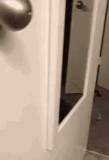 Cat Caught GIF - Cat Caught What Are You Doing GIFs