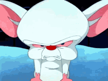 Pinky And The Brain Angry GIF - Pinky And The Brain The Brain Angry GIFs