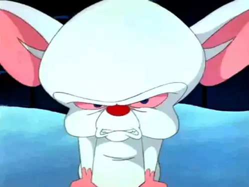 https://media.tenor.com/R8GIp8xXLa0AAAAx/pinky-and-the-brain-the-brain.webp