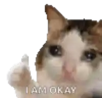 a cat is crying and giving a thumbs up sign .