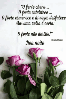 boa noite good night pink roses butterfly quote