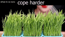 Cope Harder Grass GIF - Cope Harder Grass GIFs