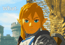What Link What GIF - What Link What The Legend Of Zelda GIFs