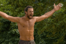 a shirtless man is standing with his arms outstretched in front of trees .