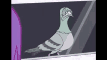 a pigeon wearing glasses looks out of a window .