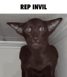 Rep Invil Stare GIF - Rep Invil Stare Strange GIFs