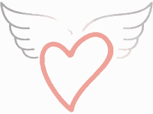 love wings