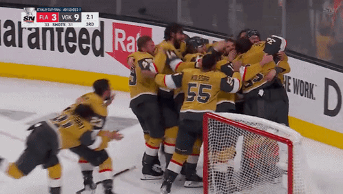 https://media.tenor.com/R94OlnQJJ30AAAAe/vegas-golden-knights-stanley-cup-finals.png