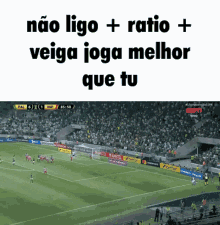 Palmeiras Ratio GIF