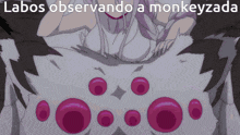 Labos Monkeyzada GIF - Labos Monkeyzada Observando GIFs