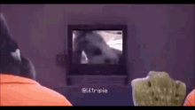 a group of people are sitting in front of a television watching a horse on the screen .