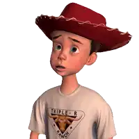a boy wearing a cowboy hat and a triple r ranch t-shirt