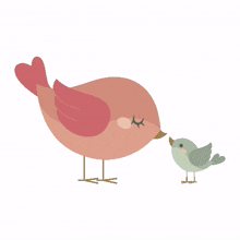 bird mother