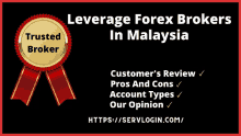 Best Leverage Forex Brokers In Malaysia GIF
