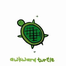 Awkward Turtle GIF - Awkward Turtle GIFs