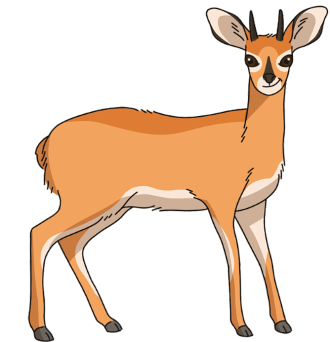 Antelope Steenbok Sticker - Antelope Steenbok Stickers