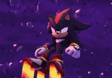 sonic the hedgehog and shadow the hedgehog in a purple background