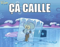 il-fait-froid-cailler.gif
