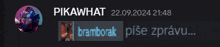 a screenshot of a chat with pikawhat and bramborak on it