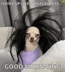 a picture of a dog with a wig on its head with the caption " i woke up like this flawless "