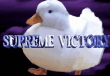 Supreme Victory Victory GIF - Supreme Victory Victory Duck GIFs