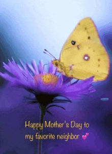 Happy Mothers Day Neighbor GIF - Happy Mothers Day Neighbor GIFs