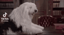 Dog With A Blog Punch GIF