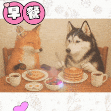 a fox and a husky sitting at a table eating pancakes