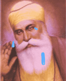 Punjab Sikh GIF - Punjab Sikh Guru Nanak Dev Ji GIFs
