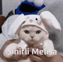 Melisa Sinirli GIF