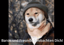 Fettarschbaron Dog GIF - Fettarschbaron Dog Hund GIFs