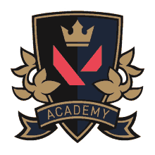 cant teach that valorant valorant high academy academy insignia in game sprays