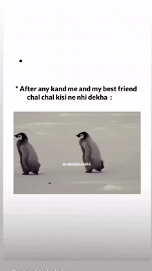 two penguins are standing next to each other on a snowy field .
