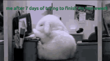 Office Rabbit GIF - Office Rabbit Konijn GIFs
