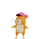 a hamster wearing a pink hat that says ' i love you '