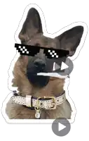 a german shepherd wearing sunglasses and a collar with a play button
