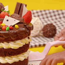 a close up of a chocolate cake with strawberries and candy on top