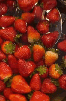 Strawberry Strawberries GIF
