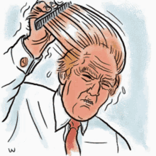Trick Donald Trump GIF - Trick Donald Trump Hair Flip GIFs