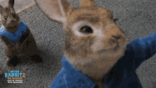 Smirk Peter Rabbit GIF - Smirk Peter Rabbit Peter Rabbit2the Runaway GIFs