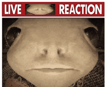 a picture of a person 's face with the words live reaction behind it