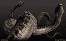 Snake Animation GIF - Snake Animation GIFs