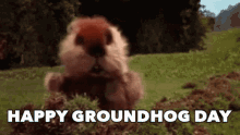 Ground Hog GIF - Ground Hog Day GIFs