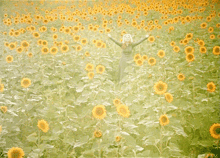 a woman in a green dress stands in a field of sunflowers with her arms outstretched