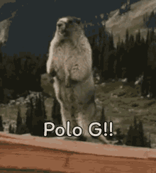 Kitklan Polo E GIF - Kitklan Polo E Polo G GIFs