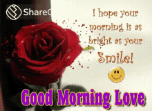Good Morning Love Smile GIF - Good Morning Love Smile गुलाब GIFs
