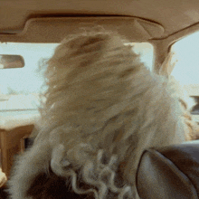 a woman with blonde hair is sitting in a car